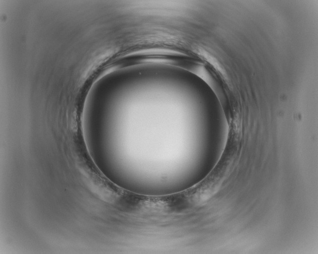 X0000088600403200705251219