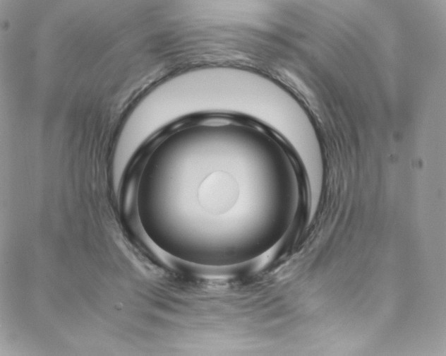 X0000088600405200705251219