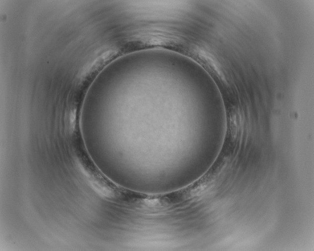 X0000088600406200705251219