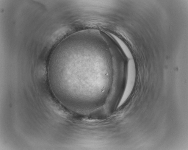 X0000088600407200705251219