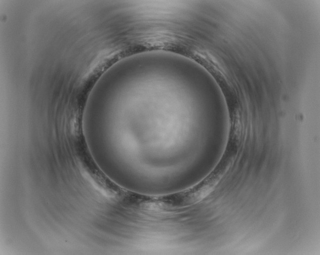 X0000088600408200705251219