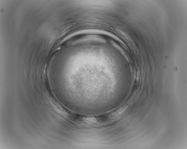 X0000088600409200705251219