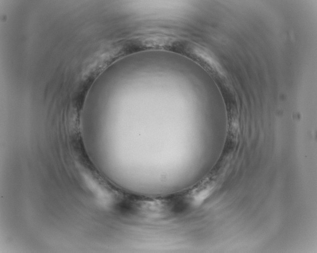 X0000088600411200705251219