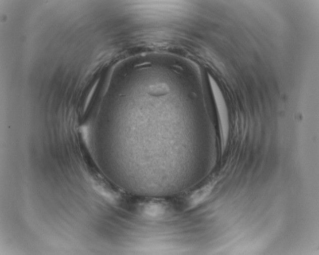 X0000088600412200705251219