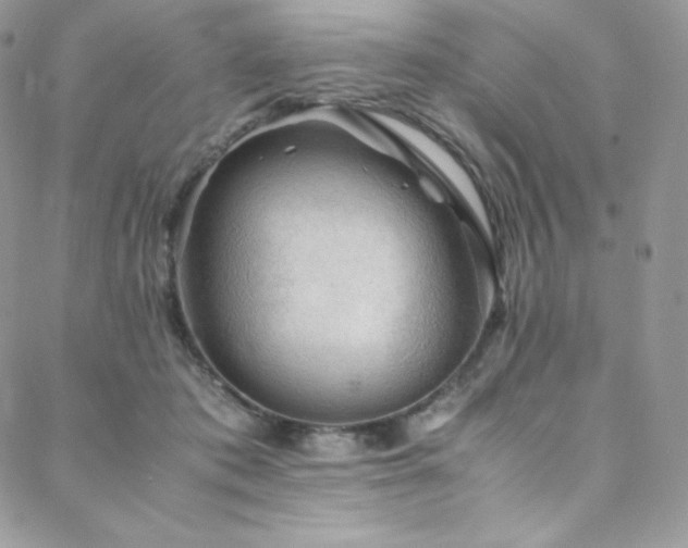 X0000088600413200705251219