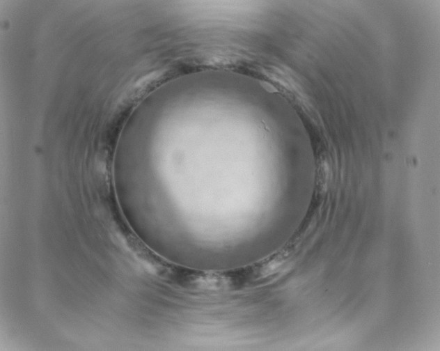 X0000088600415200705251219