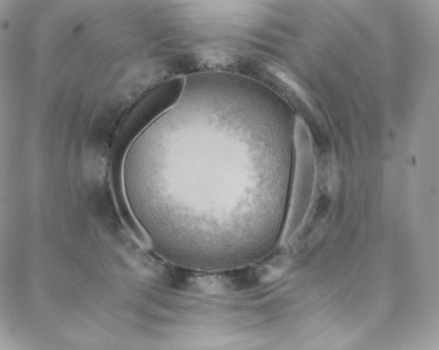 X0000088600417200705251219