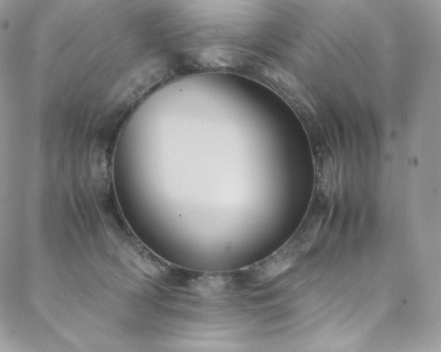 X0000088600418200705251219