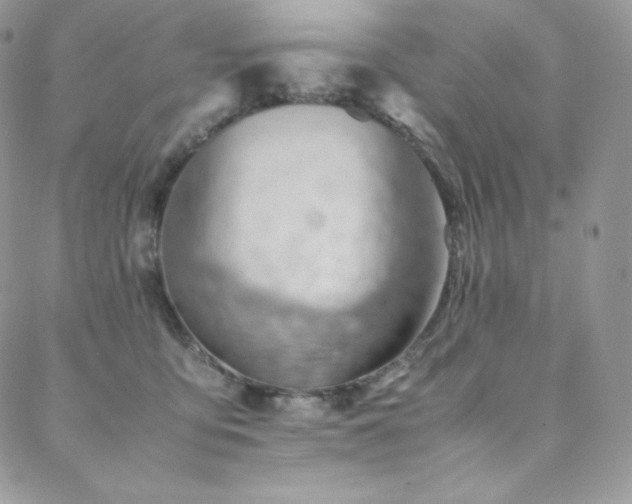 X0000088600419200705251219