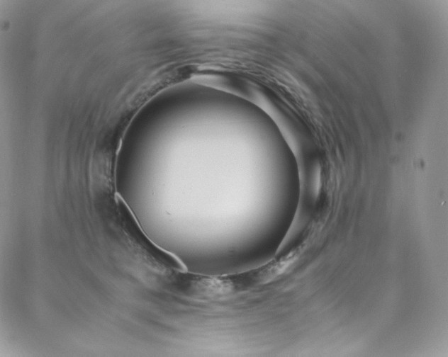 X0000088600421200705251219