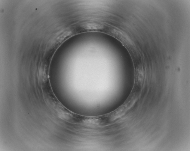 X0000088600422200705251219