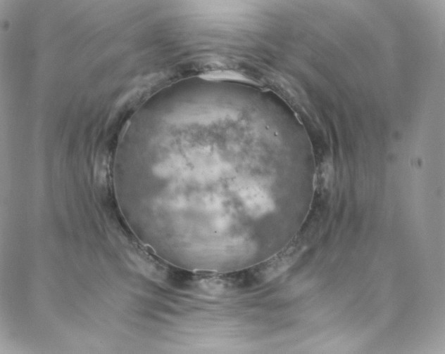 X0000088600423200705251219