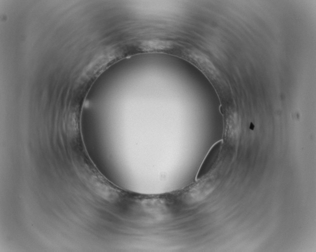 X0000088600426200705251219