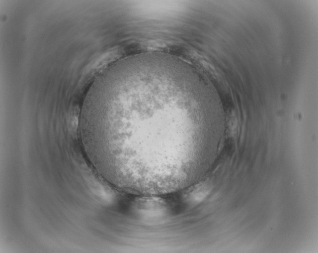 X0000088600427200705251219