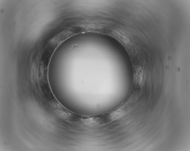 X0000088600430200705251219