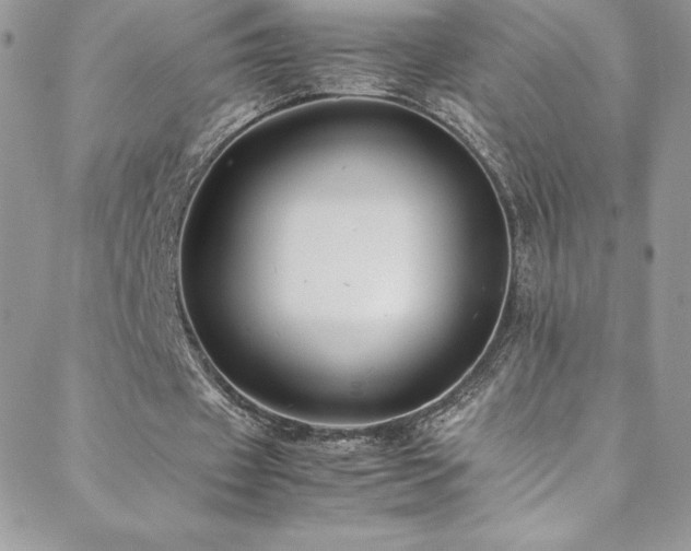 X0000088600433200705251218