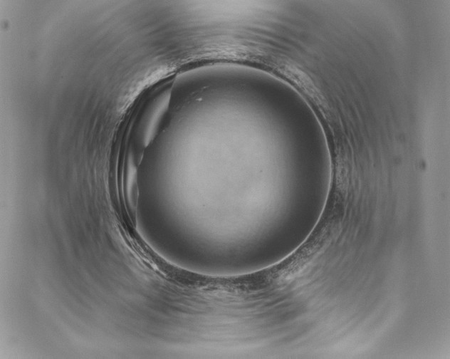 X0000088600434200705251218