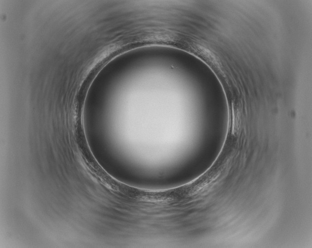 X0000088600435200705251218