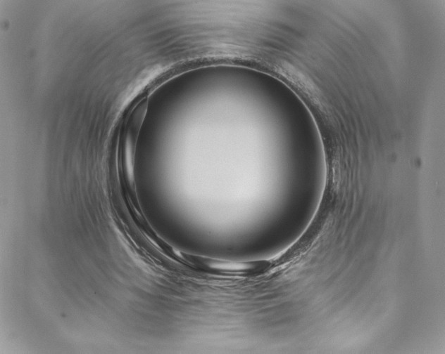 X0000088600436200705251218