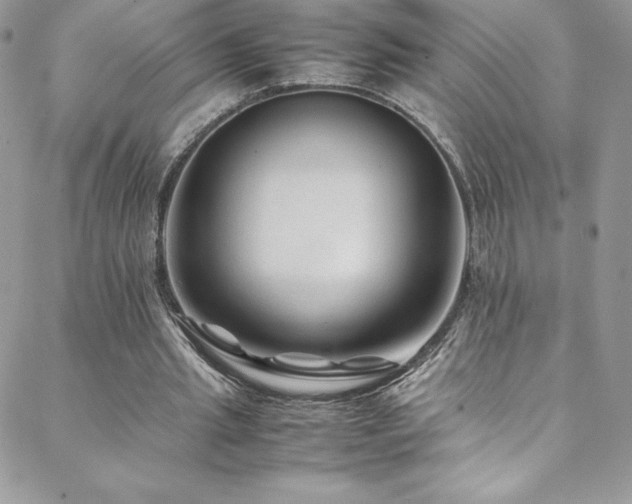 X0000088600437200705251218