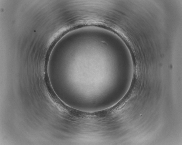 X0000088600438200705251218