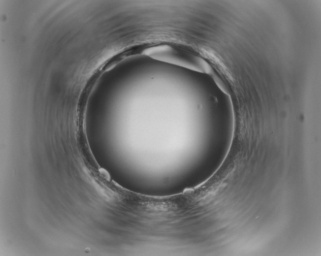 X0000088600439200705251218