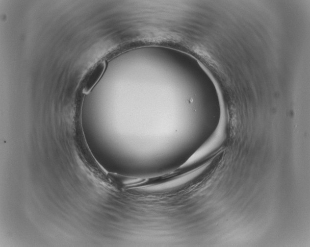 X0000088600440200705251218