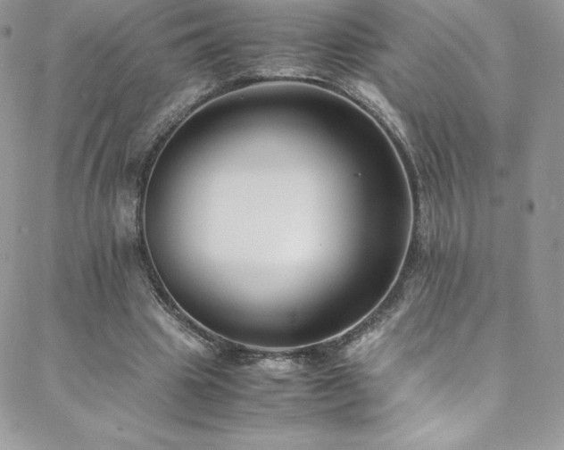 X0000088600441200705251218