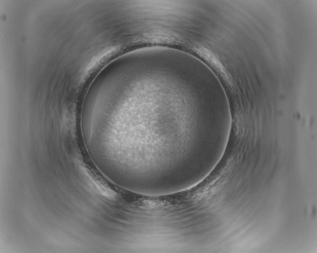 X0000088600442200705251218