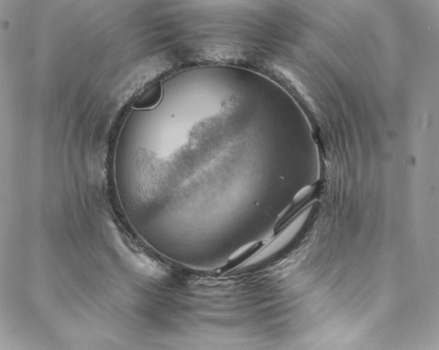 X0000088600443200705251218