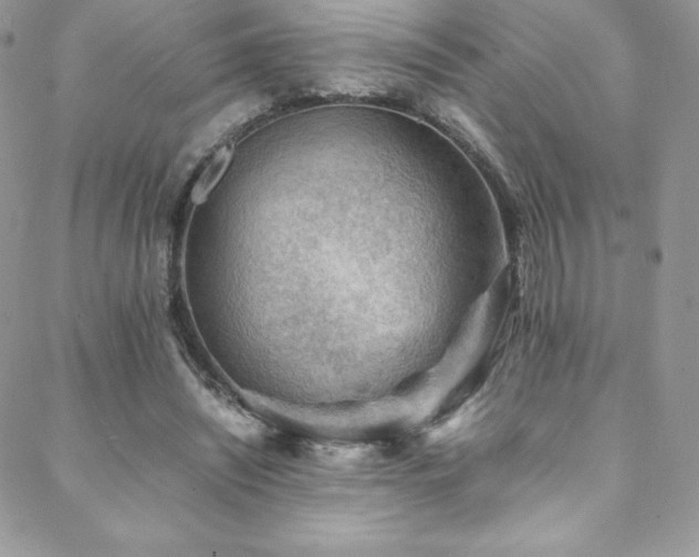 X0000088600444200705251218