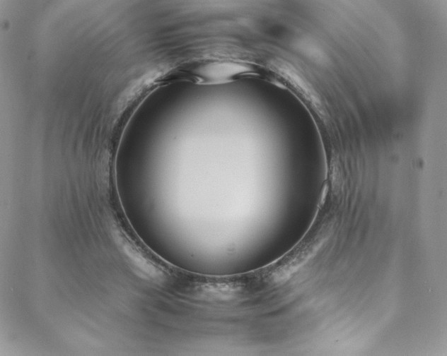 X0000088600445200705251218