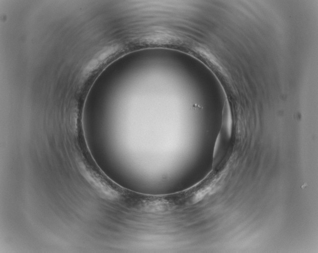 X0000088600446200705251218