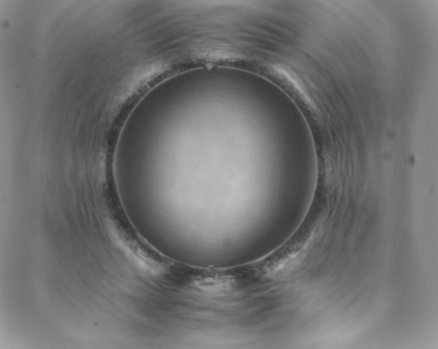 X0000088600447200705251218