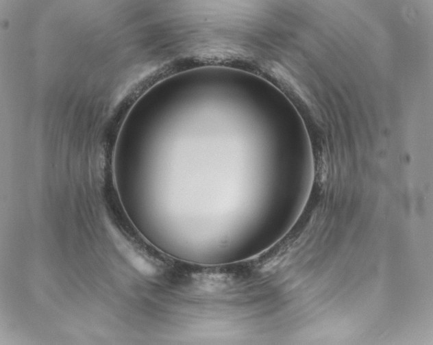 X0000088600448200705251218