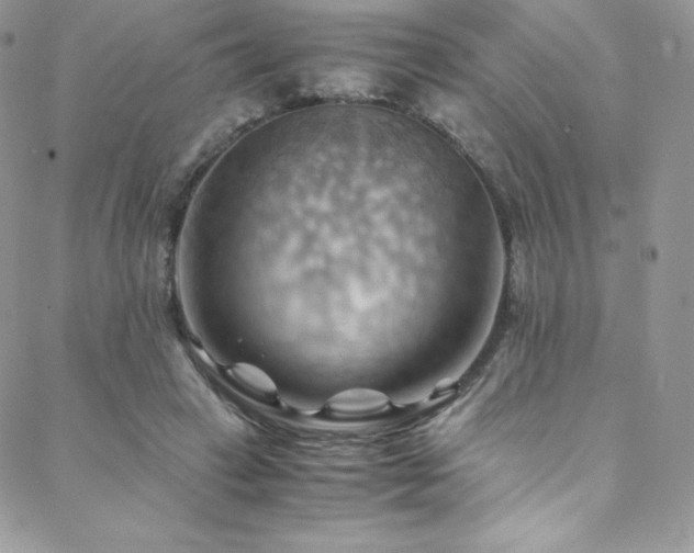 X0000088600449200705251218