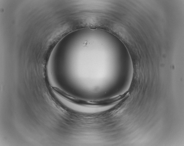 X0000088600450200705251218