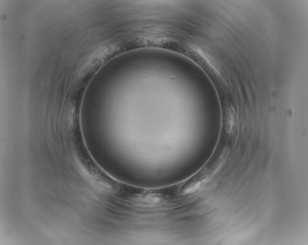 X0000088600451200705251218