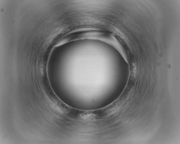 X0000088600452200705251218