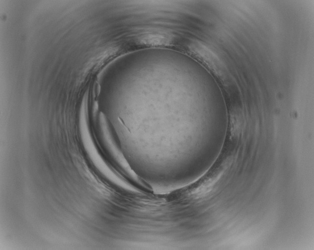 X0000088600453200705251218