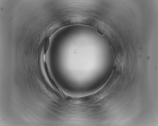 X0000088600454200705251218