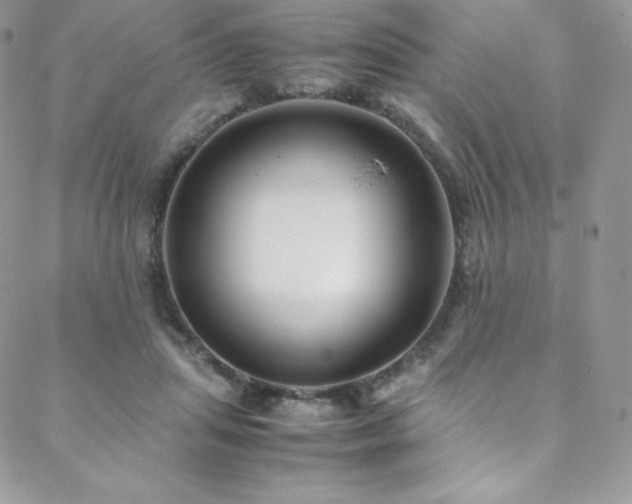 X0000088600455200705251218