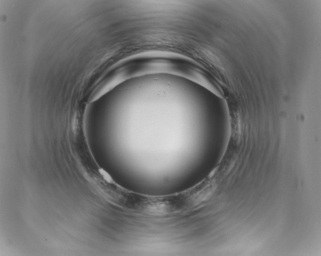 X0000088600456200705251218