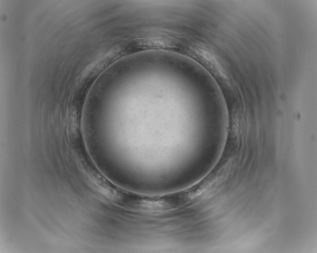 X0000088600457200705251218