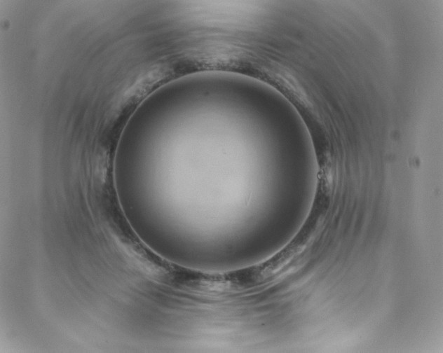 X0000088600458200705251218