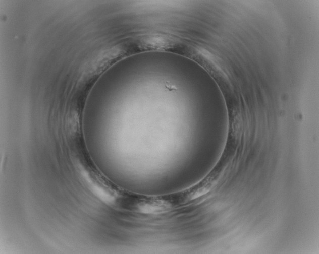 X0000088600459200705251218