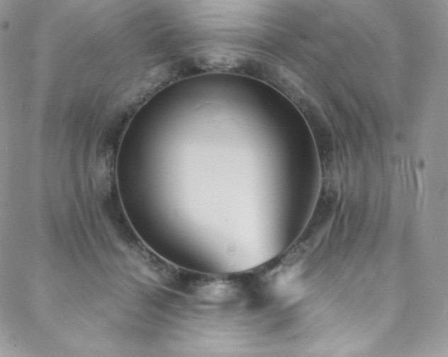 X0000088600460200705251218