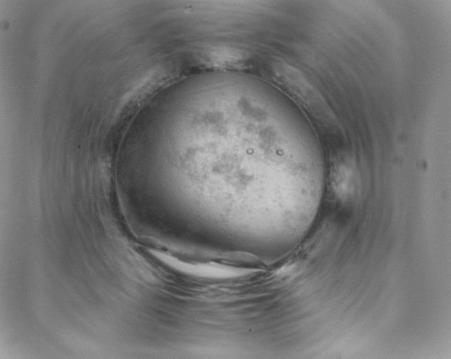 X0000088600461200705251218