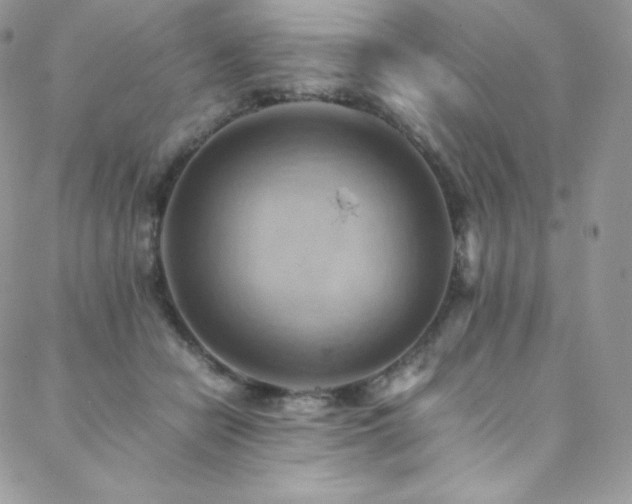 X0000088600462200705251218