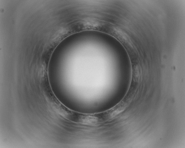 X0000088600463200705251218